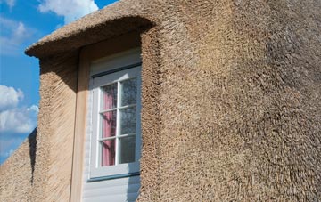Tursdale thatch roof disadvantages
