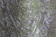 Tursdale fibreglass roof work